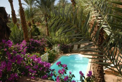 Hotel photo 8 of Villa Zagora Ma Villa au Sahara.