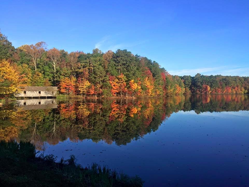 Madison County Nature TrailGreen Mountain (Huntsville) 2022 Alles