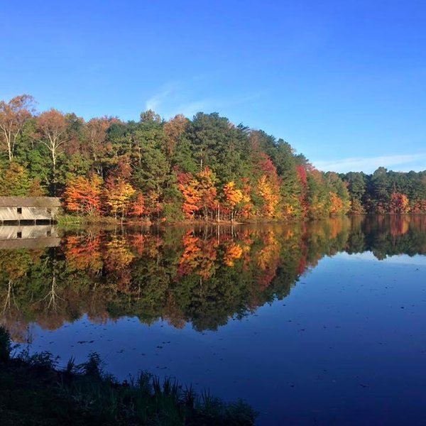 Hays Nature Preserve (Huntsville) - All You Need to Know BEFORE You Go