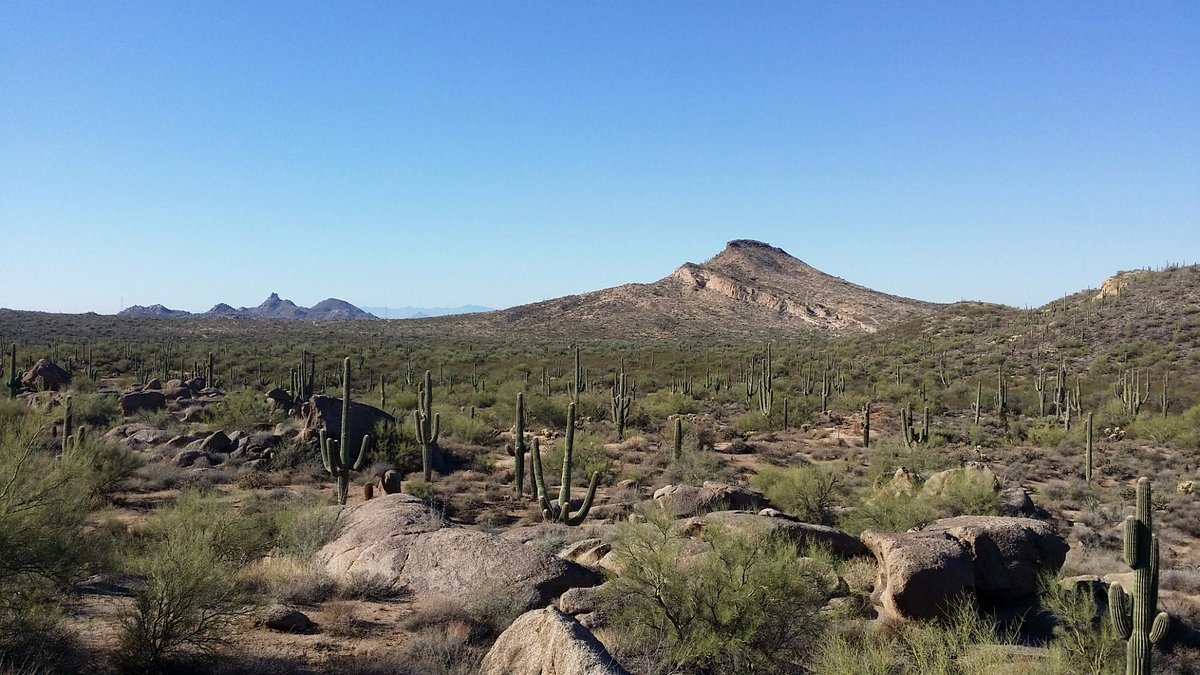 Brown S Ranch Trail Map Brown's Ranch Trailhead (Scottsdale) - All You Need To Know Before You Go