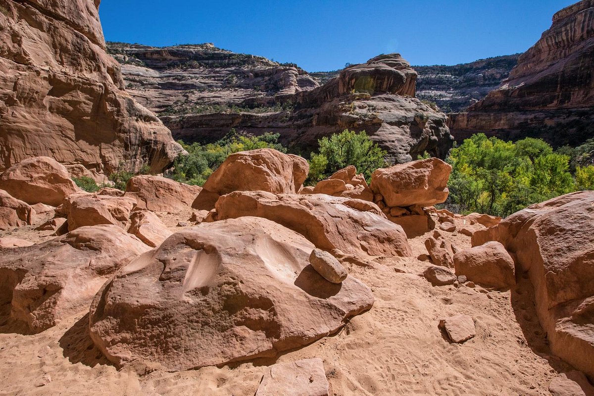 Grand Gulch Primitive Area Utah Ce Quil Faut Savoir