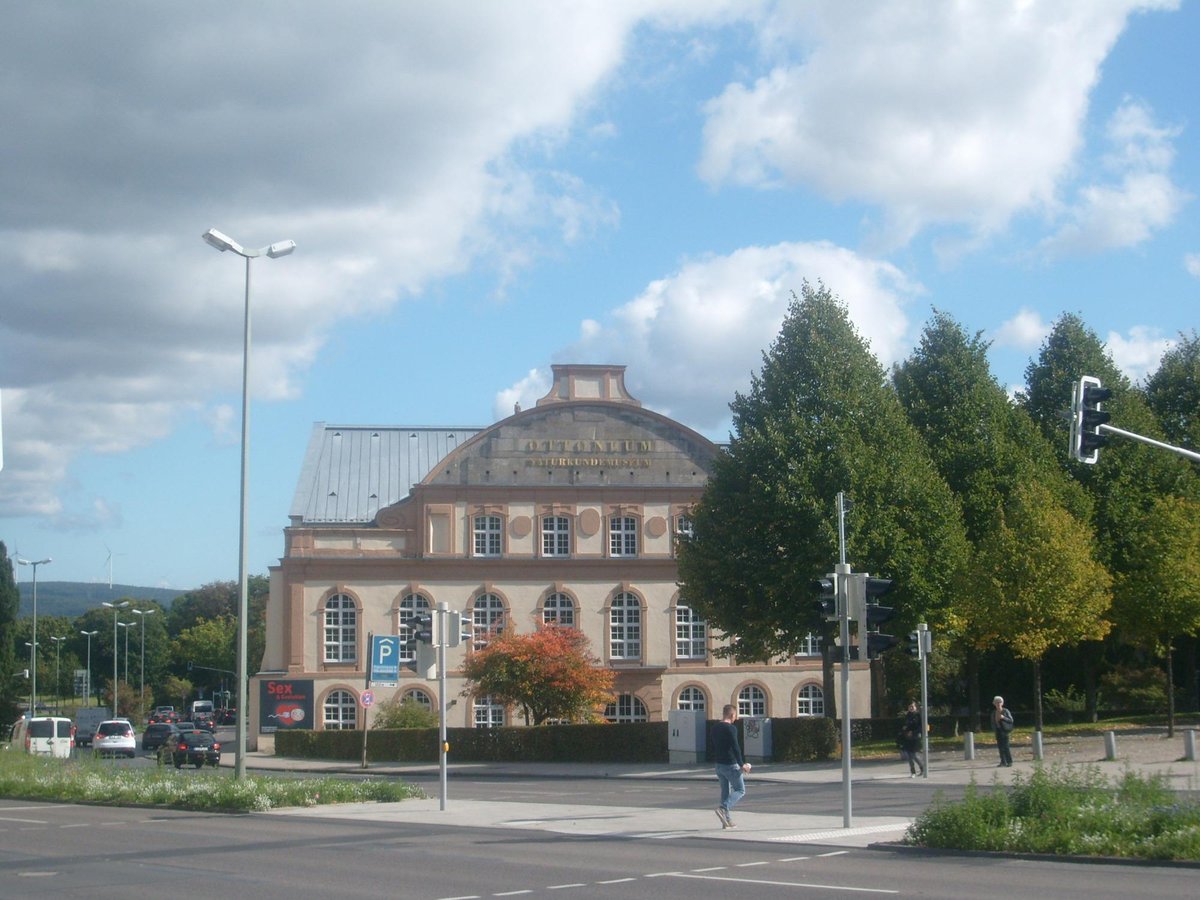 Naturkundemuseum im Ottoneum, Кассель: лучшие советы перед посещением -  Tripadvisor