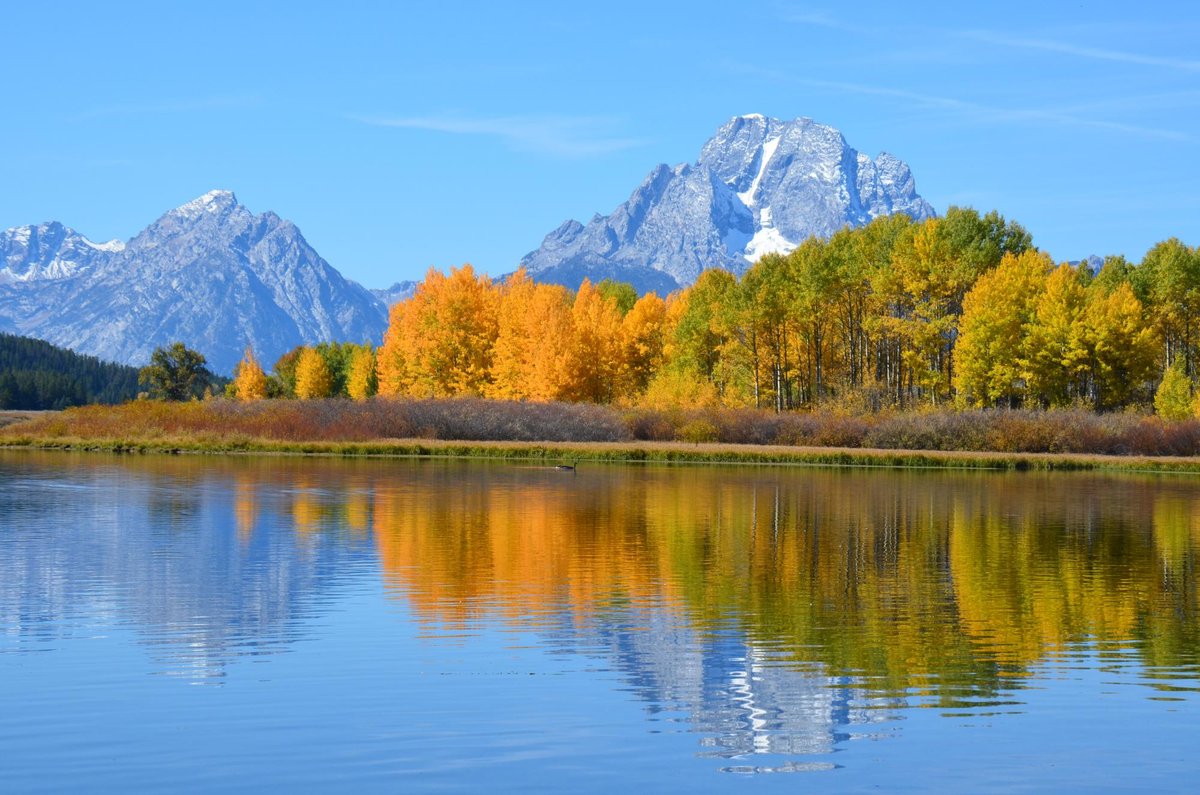 Oxbow Bend (Moran) - All You Need to Know BEFORE You Go