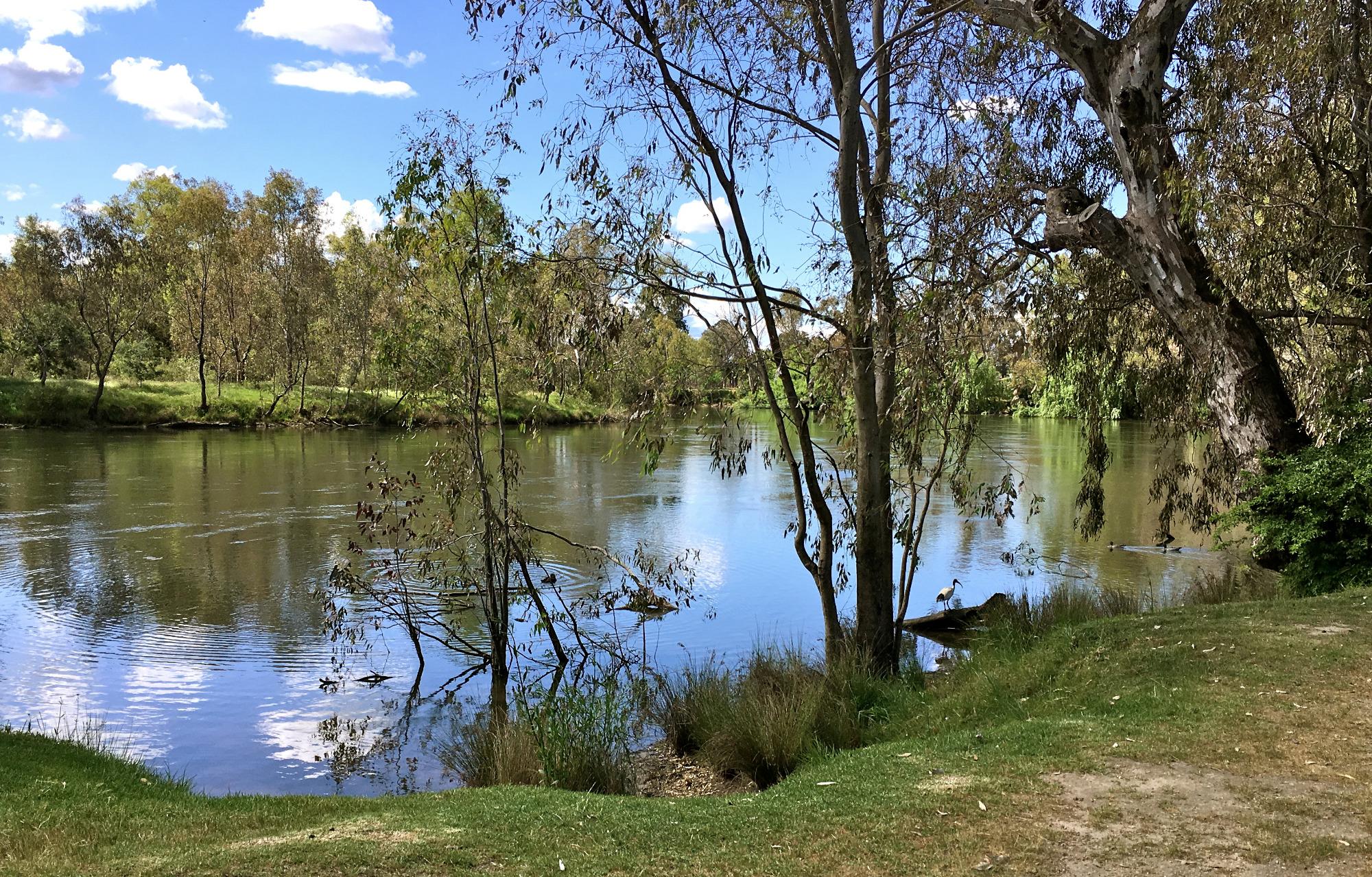 Noreuil Park (Albury) - 2022 Alles Wat U Moet Weten VOORDAT Je Gaat ...