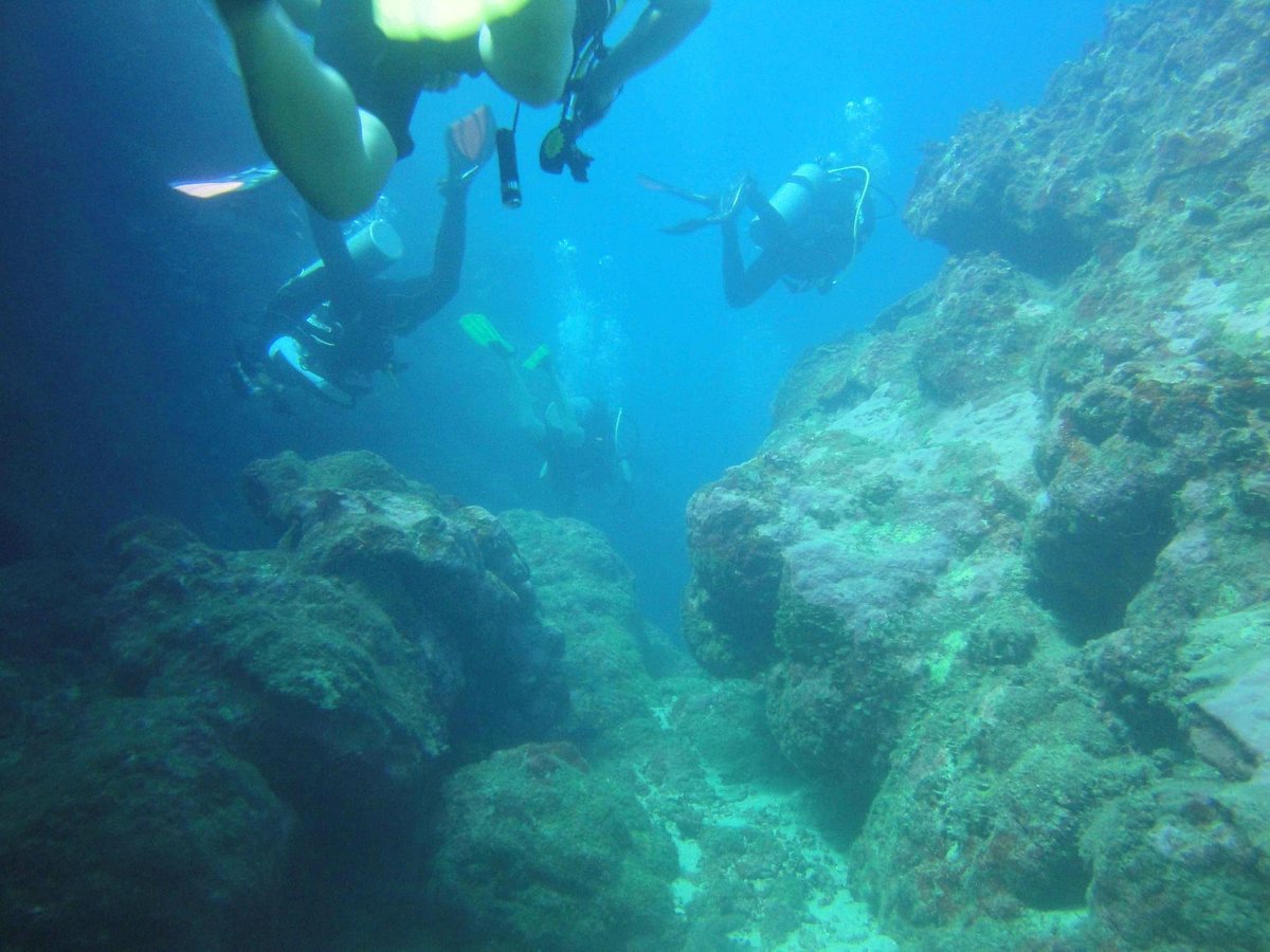 Ocean Stuff! - Picture of Reef Safari Fiji - Scuba Diving Day Trips, Viti  Levu - Tripadvisor
