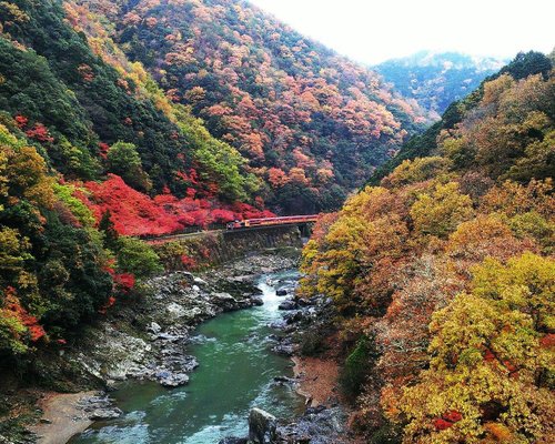 亀岡市の公園 自然 ベスト10 トリップアドバイザー