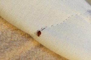 객실 및 스위트