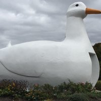 The Big Duck (Flanders) - All You Need to Know BEFORE You Go