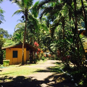 Sunny day in the Caribbean