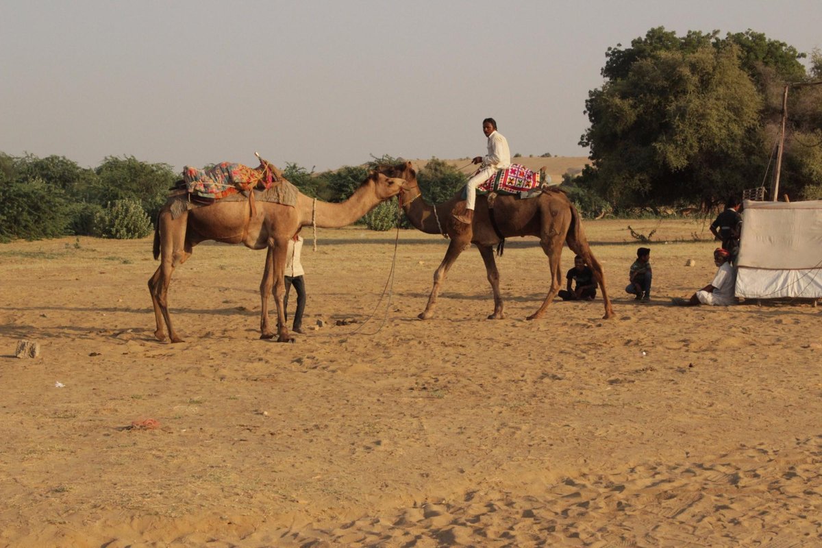 Registan Desert Safari Camps - Reviews & Photos