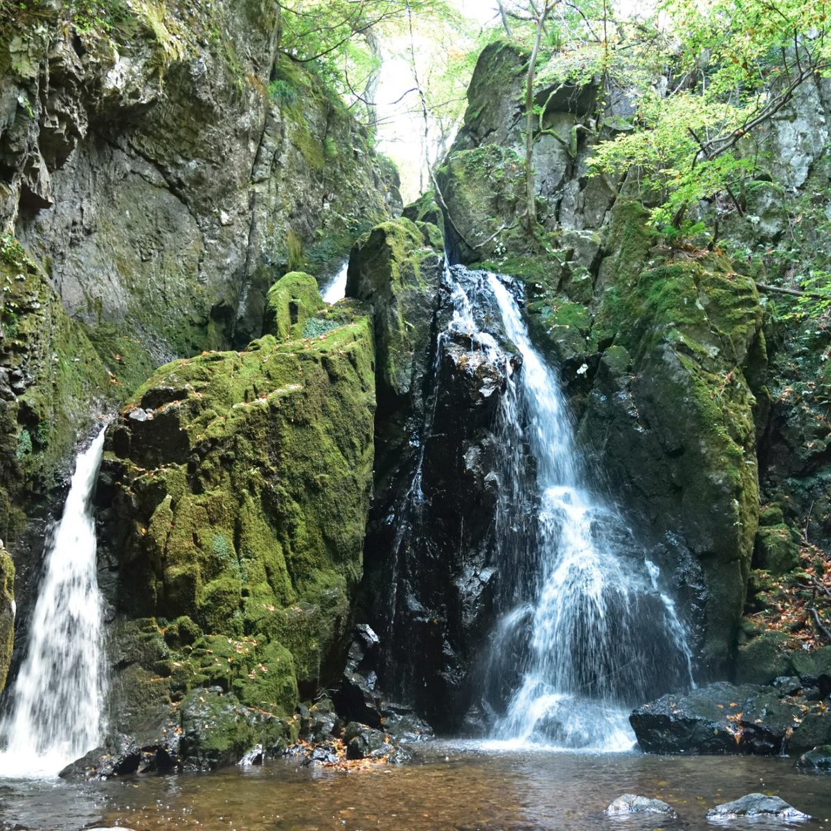 Yamanori Valley Maniwa Ce Qu Il Faut Savoir Pour Votre Visite