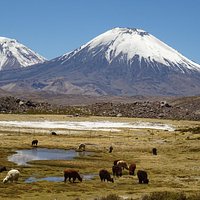 Volcán