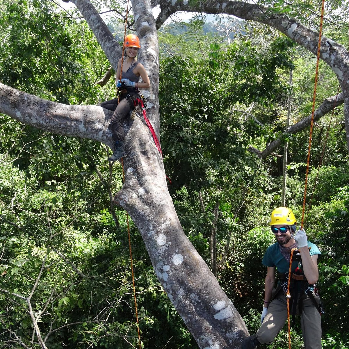 Arborist and Climbing Gear, Total True Value Rental