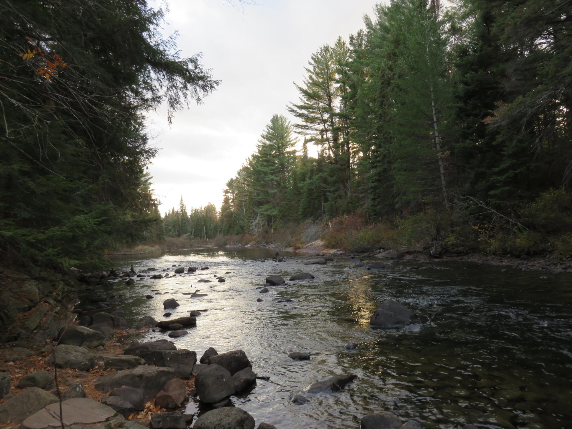 Whiskey rapids hotsell trail algonquin park