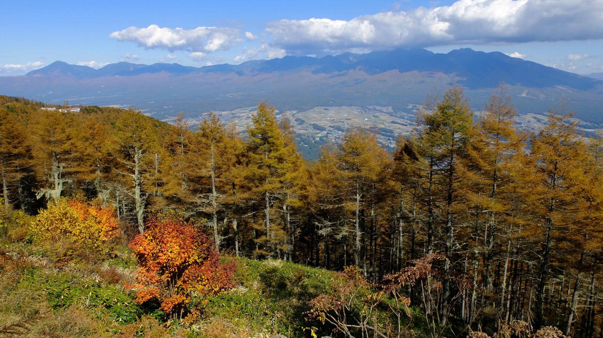THE 15 BEST Nagano Prefecture Skiing & Snowboarding Areas (2025)