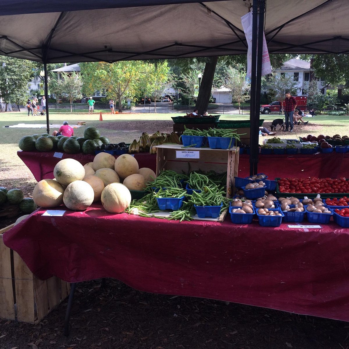 All 105+ Images orlando farmers’ market photos Stunning