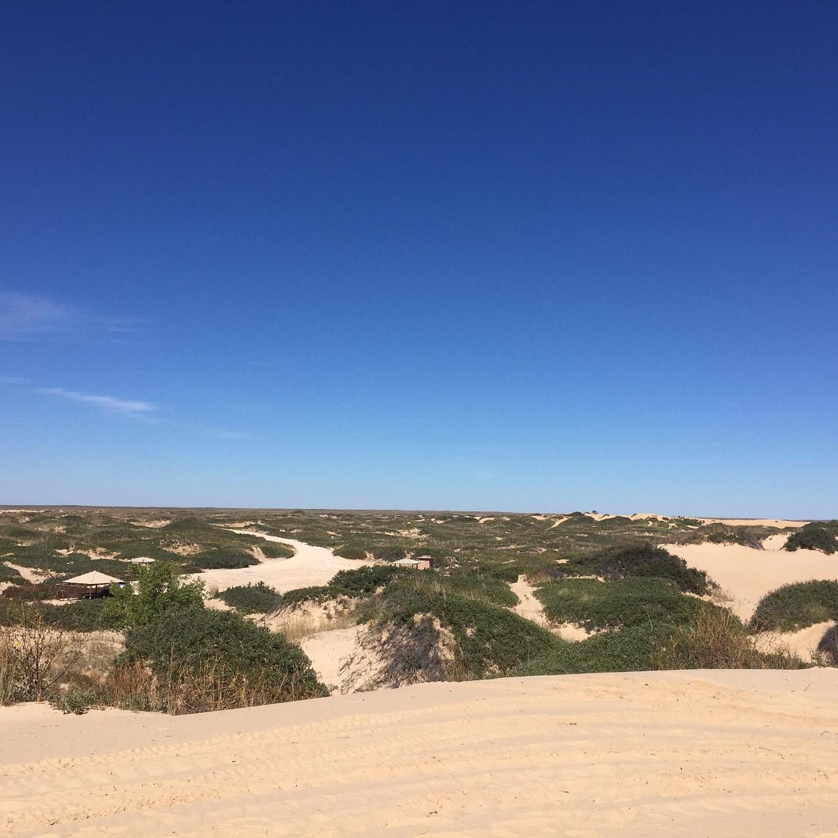 All 32+ Images mescalero sands north dune off-highway vehicle area photos Sharp All 32+ Images mescalero sands north dune off-highway vehicle area photos Sharp