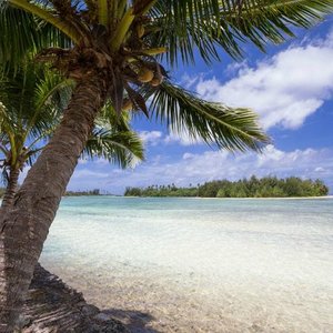 Lagoon view