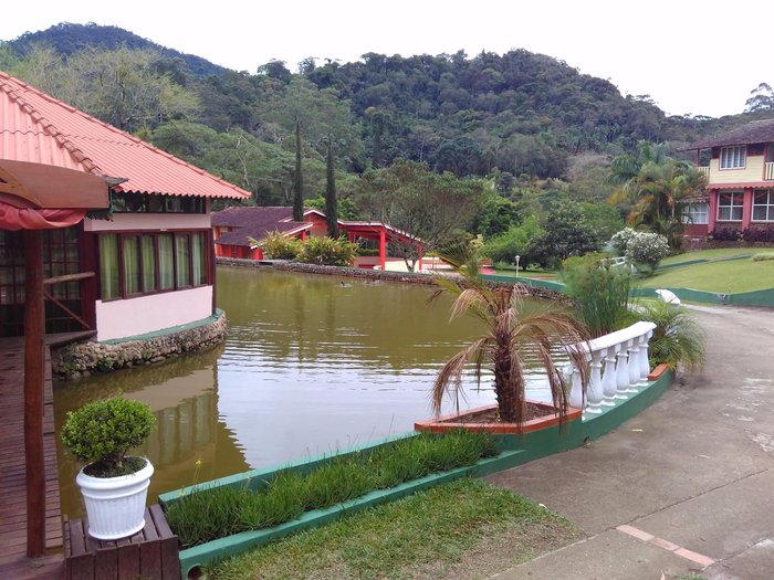 Criado em fazenda Hare Krishna, rapaz diz: 'isso seria o sentido