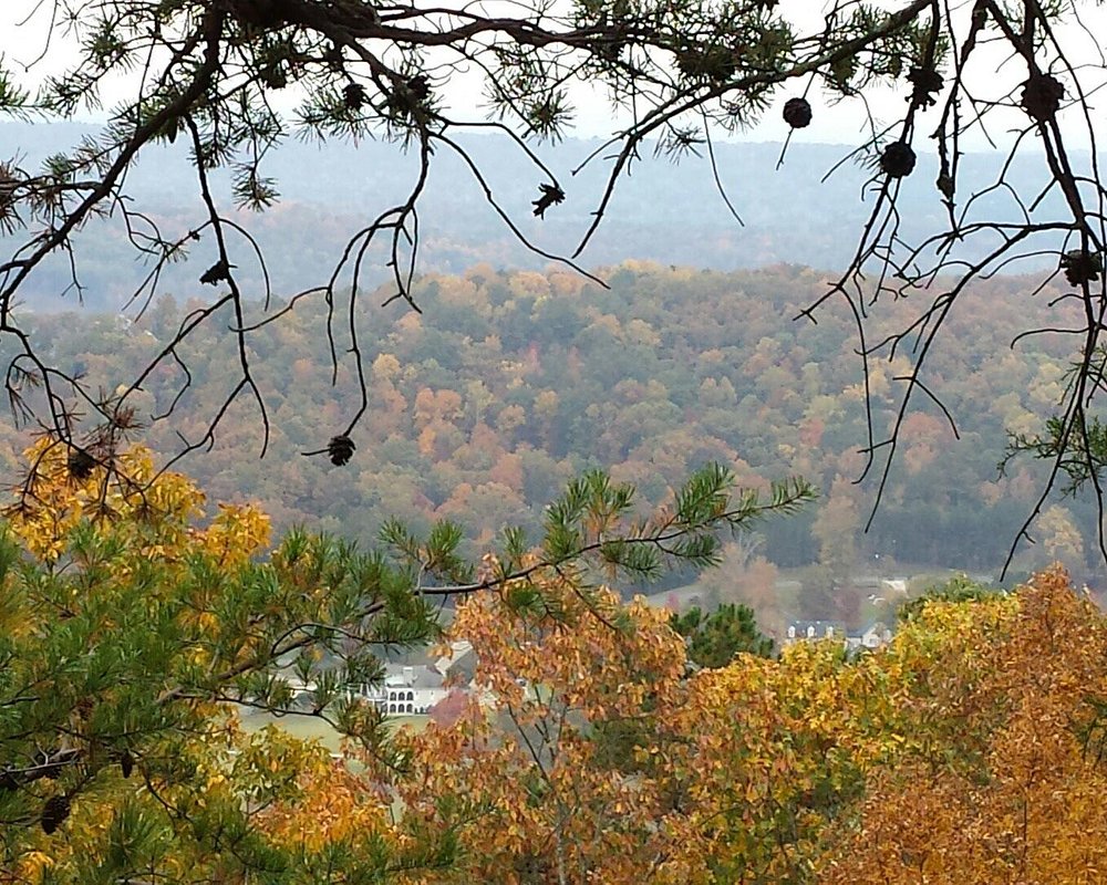 THE 5 BEST Things to Do in Oneonta 2024 (with Photos) Tripadvisor