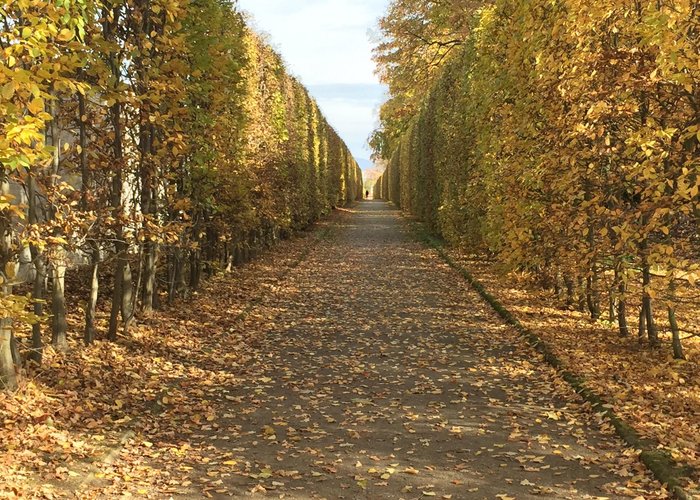 Goldener Herbst