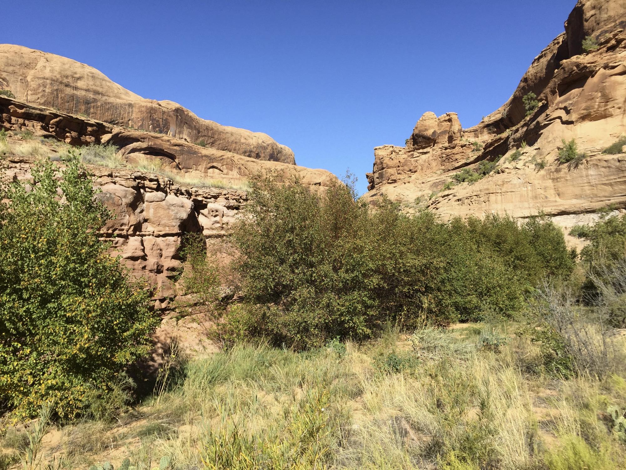 Grandstaff Canyon Trail All You Need to Know BEFORE You Go 2024