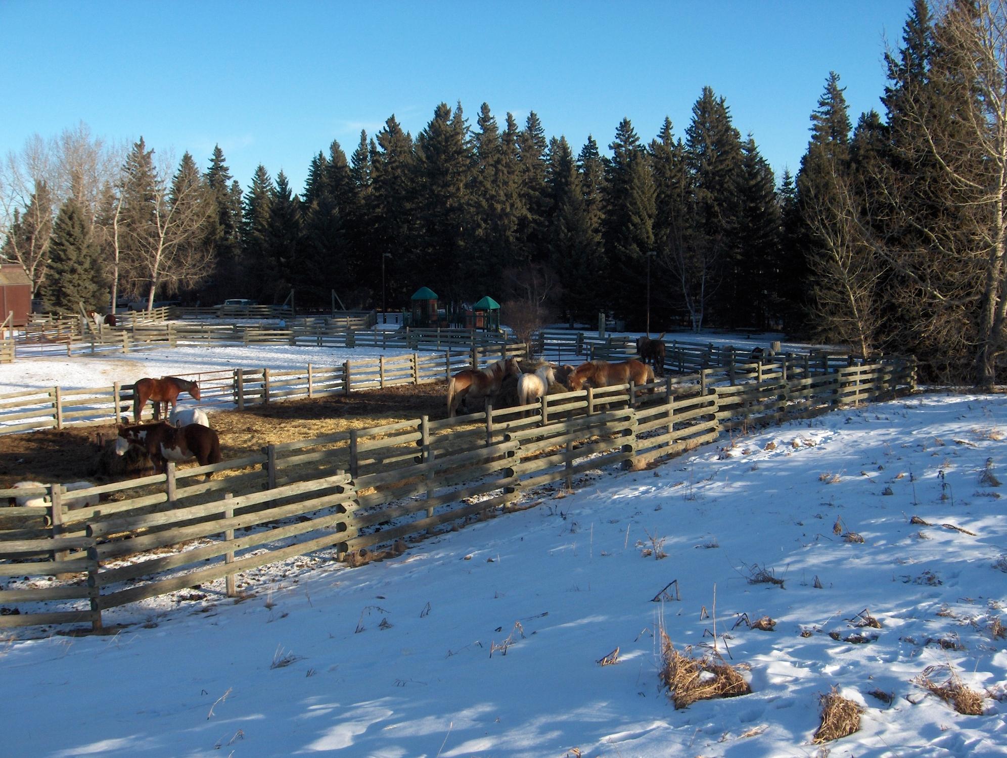 Heritage Ranch (Red Deer) - All You Need To Know BEFORE You Go