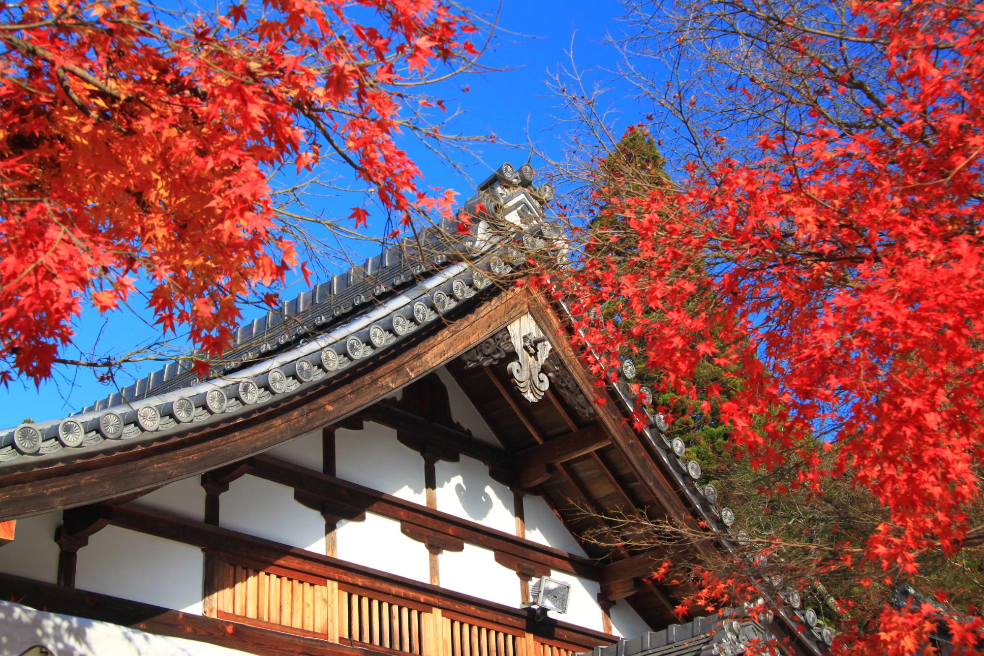 Iwakura Shrine, Kyoto