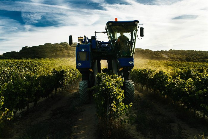 Imagen 6 de Bodegas Ochoa