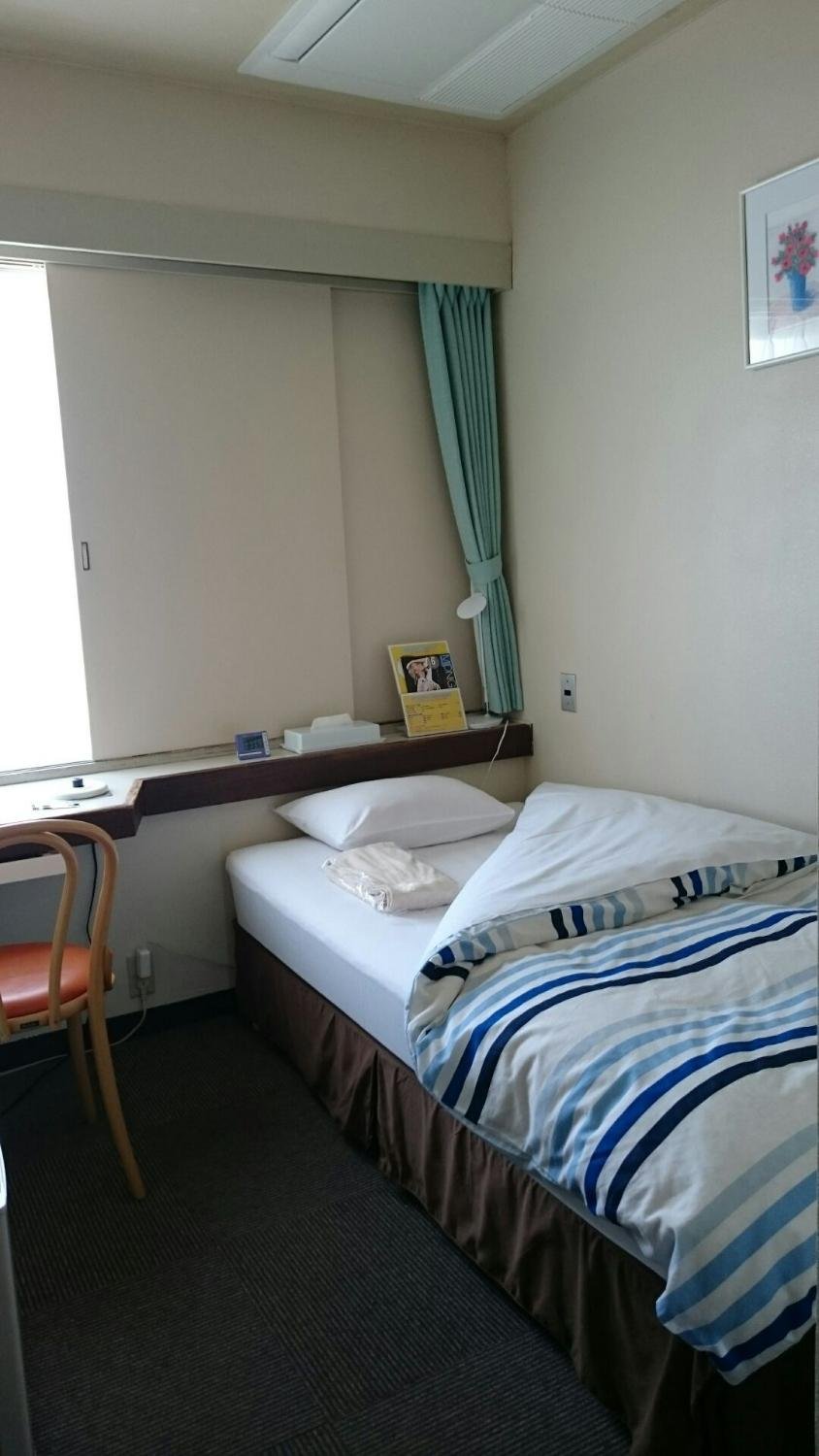 NEW FUJIYA HOTEL - Reviews (Nayoro, Japan)