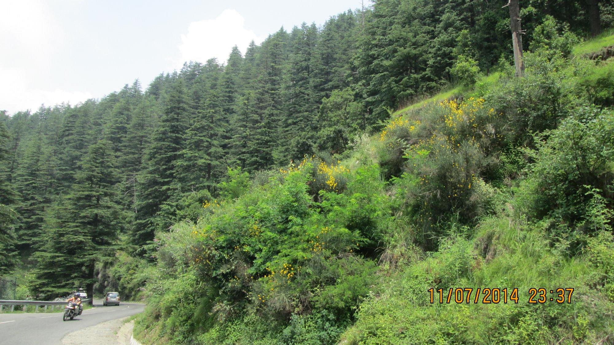 hptdc tour packages shimla
