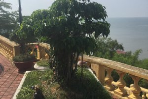Phòng & Phòng Suite