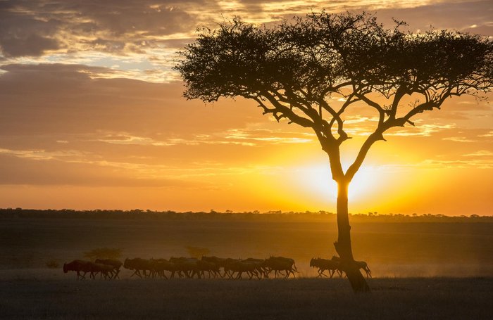 LEGENDARY SERENGETI MOBILE CAMP - Updated 2023 Campground Reviews  (Serengeti National Park, Tanzania)