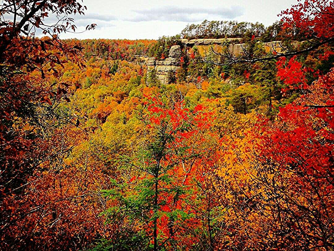 NATURAL BRIDGE STATE RESORT PARK (Slade) - All You Need to Know BEFORE