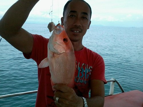 penang travel fish