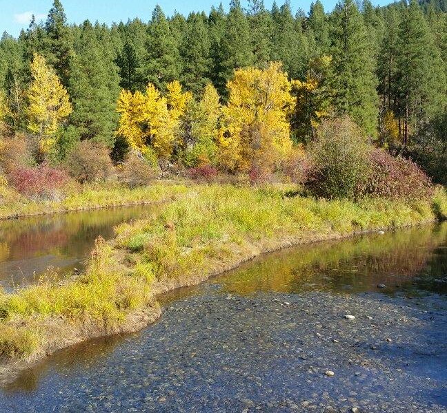 Leavenworth National Fish Hatchery image