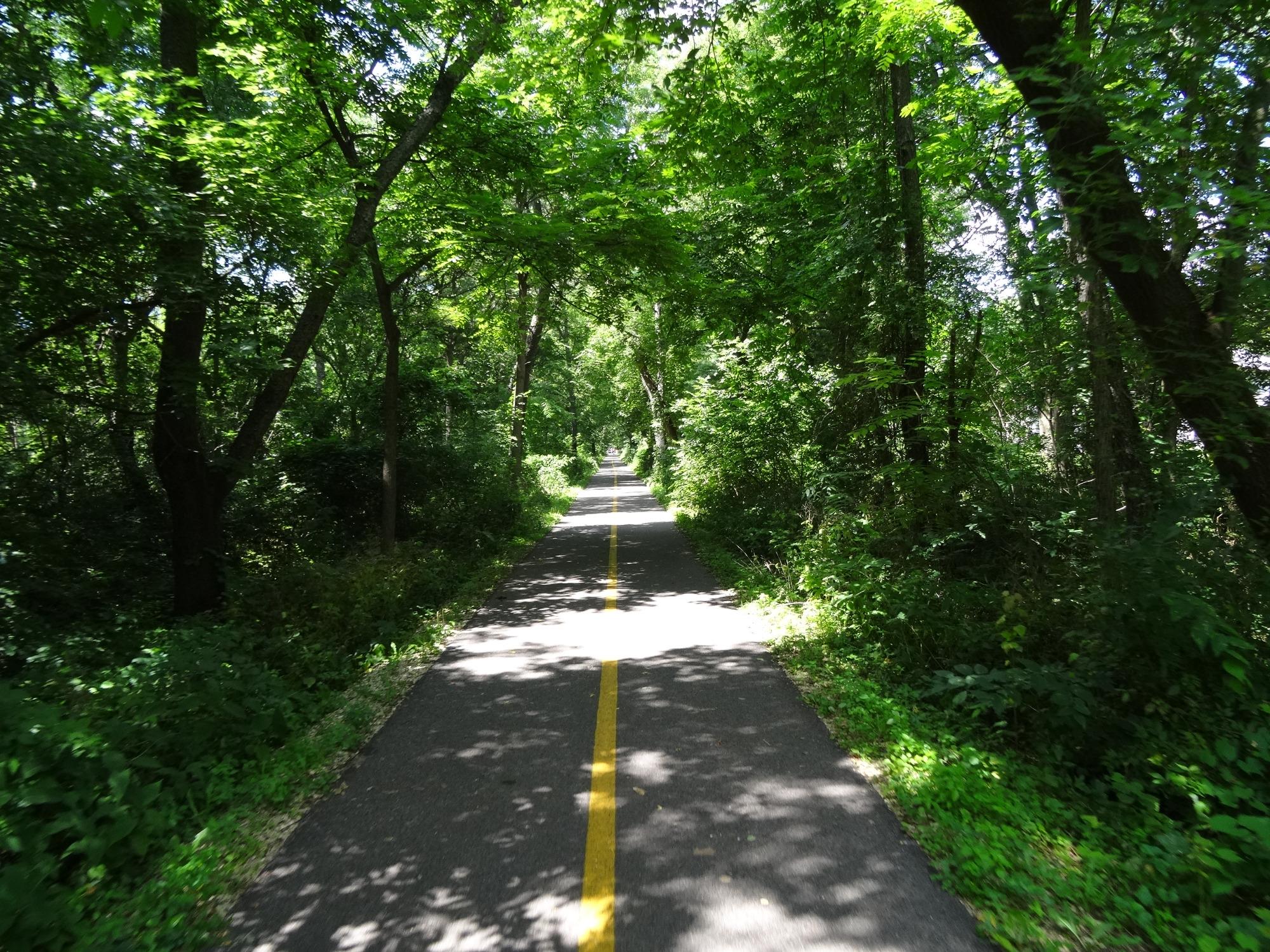 Shaded bike trails near 2024 me