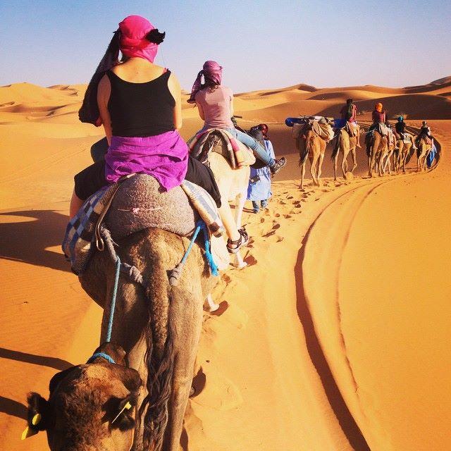 Morocco Camel Trips (Casablanca) - ATUALIZADO 2022 O Que Saber Antes De ...