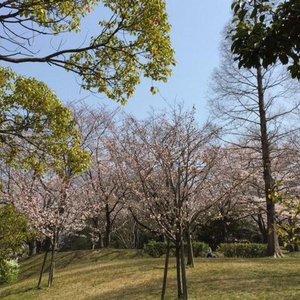 22年 元浜公園 行く前に 見どころをチェック トリップアドバイザー