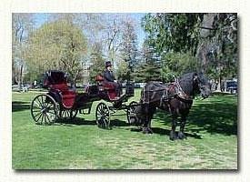 Weddings  Top Hand Ranch Carriage Company