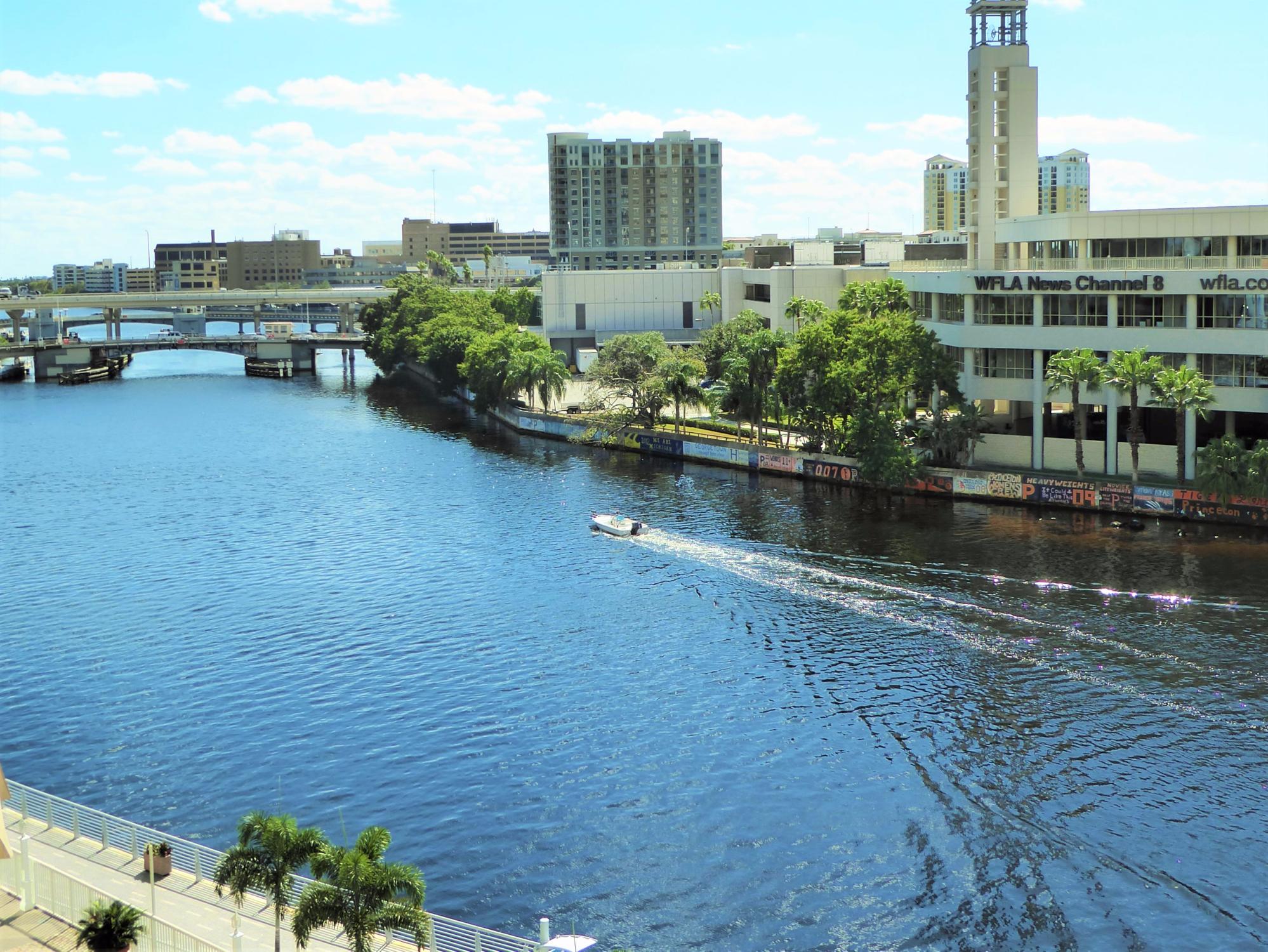 Hillsborough River Tampa Lo Que Se Debe Saber Antes De Viajar   Hillsborough River 