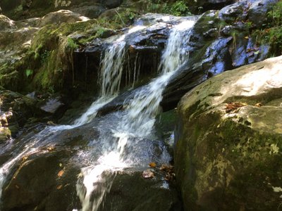 Shenandoah National Park, VA: All You Must Know Before You Go (2024 ...