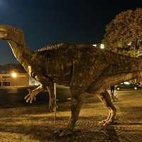 Naturkundemuseum im Ottoneum