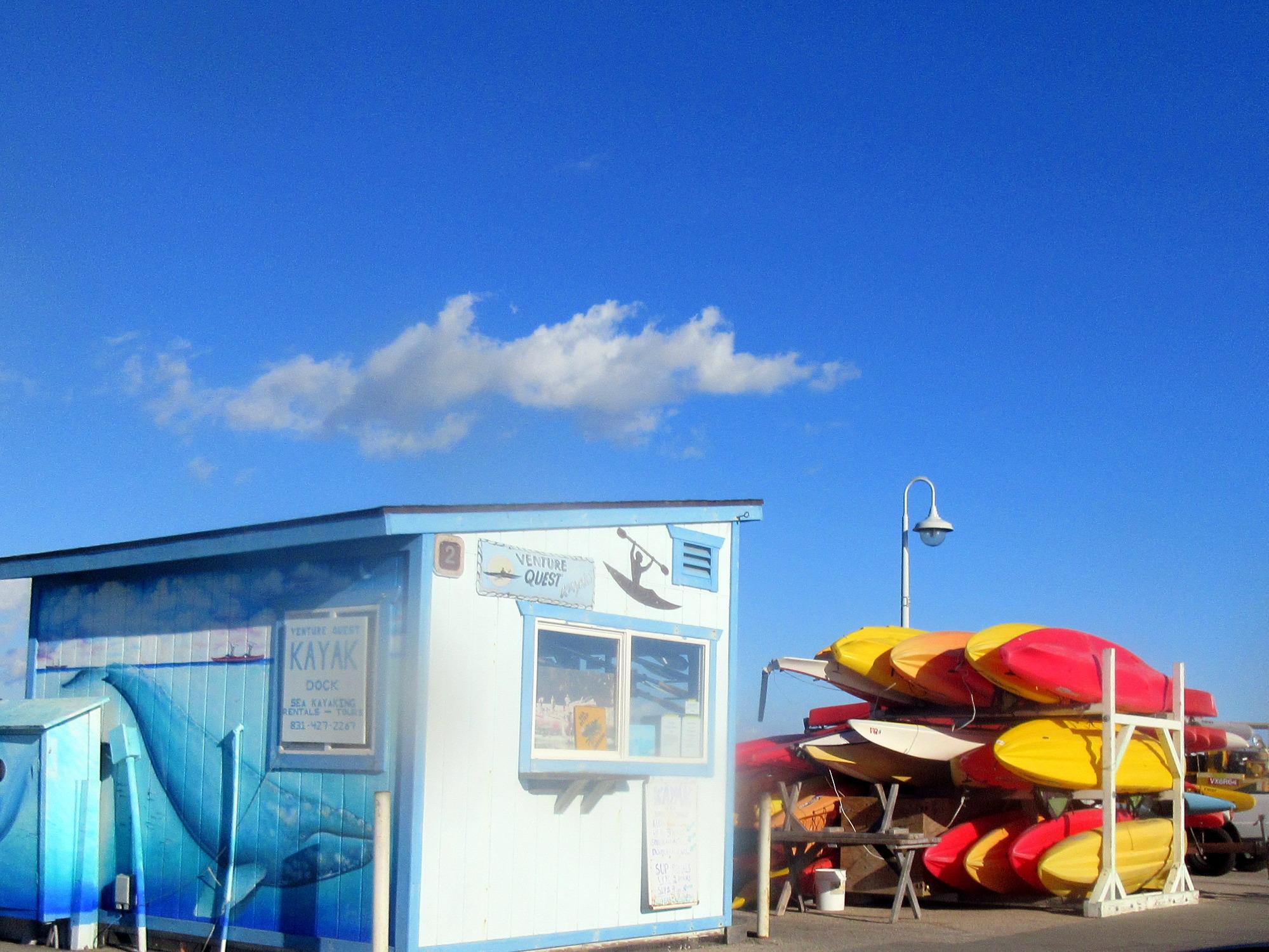 Venture Quest Day Kayaking All You Need to Know BEFORE You Go