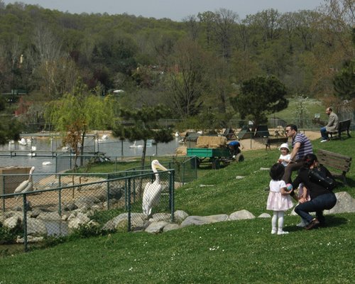 the 5 best zoos aquariums in istanbul tripadvisor