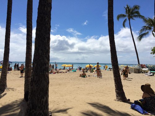 ROYAL GROVE WAIKIKI (AU$168): 2023 Prices & Reviews (Honolulu, HI ...