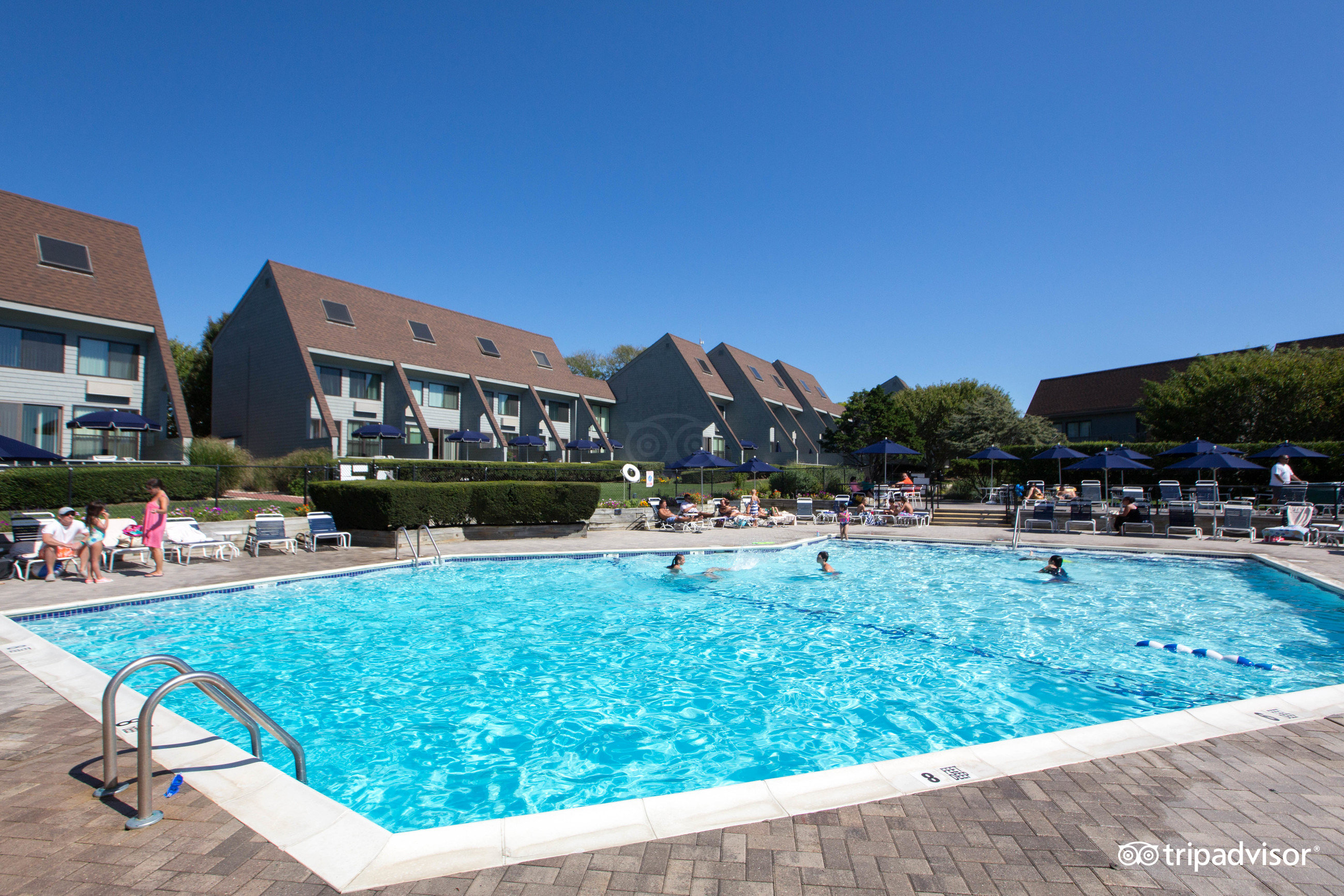 surf club montauk pet friendly