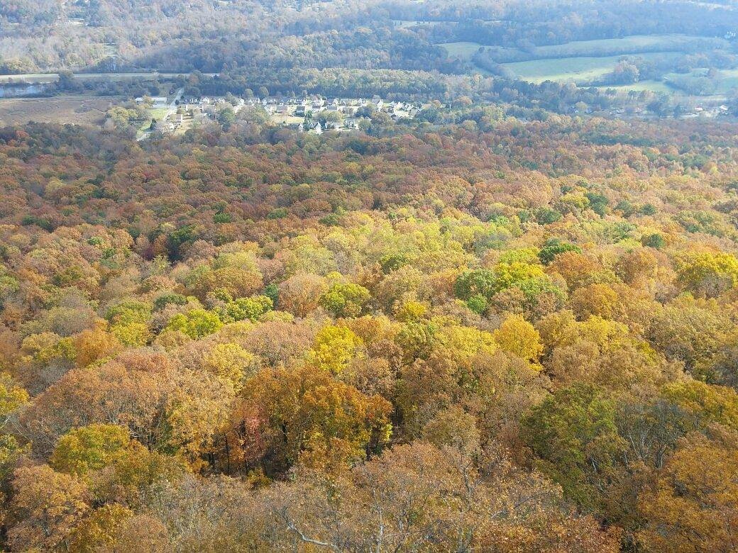 Don't look up – Tennessee Lookout