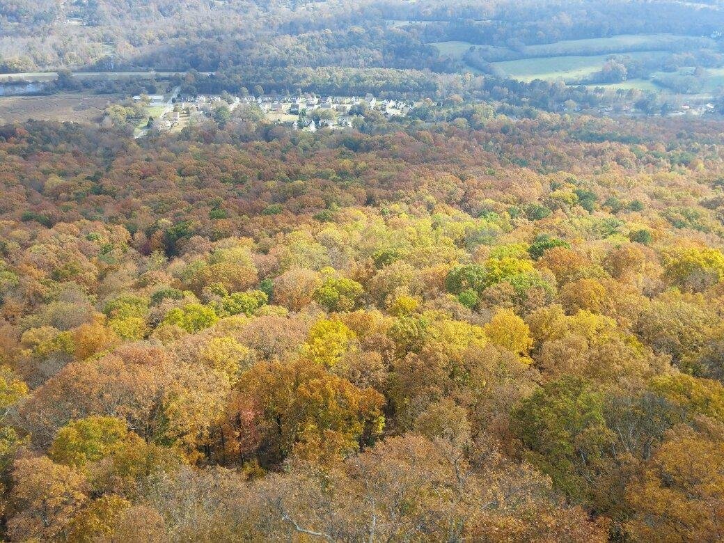 se permiten perros en lookout mountain tn