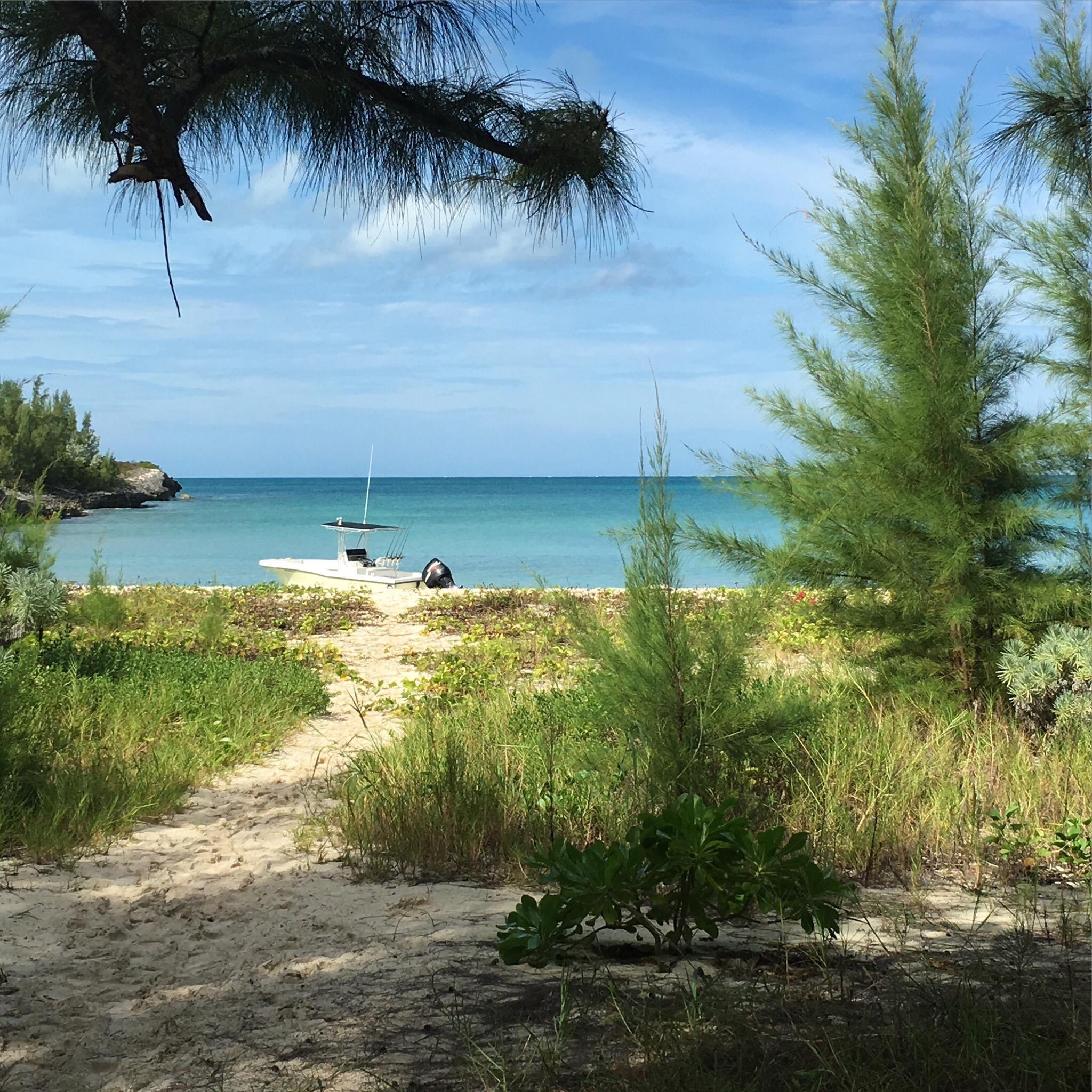 Island Adventures With Lincoln Jones Green Turtle Cay Lohnt Es Sich   Photo0jpg 